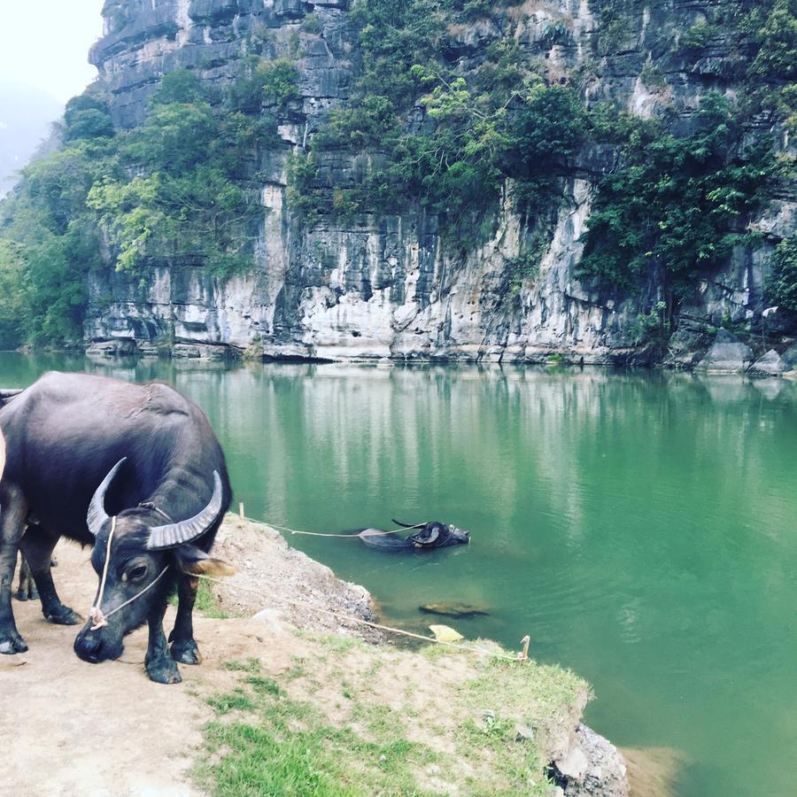 Mai'S Homestay Trang An Ninh Binh Bagian luar foto
