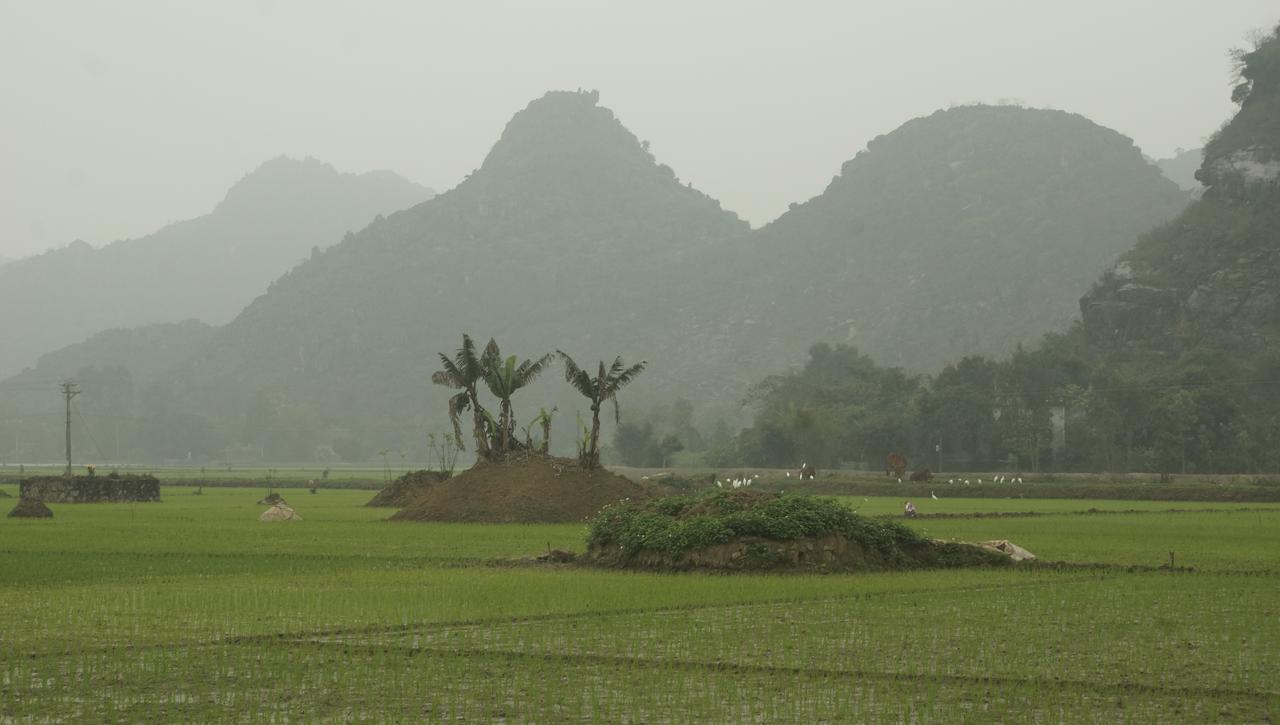 Mai'S Homestay Trang An Ninh Binh Bagian luar foto