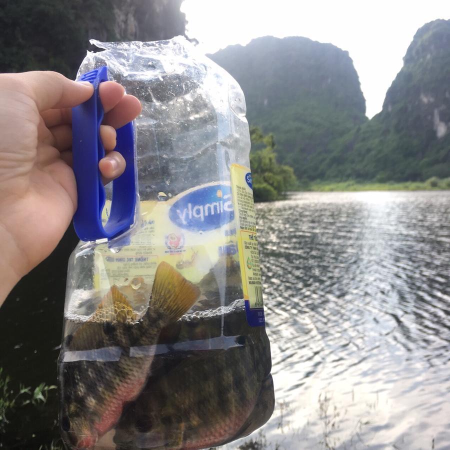 Mai'S Homestay Trang An Ninh Binh Bagian luar foto