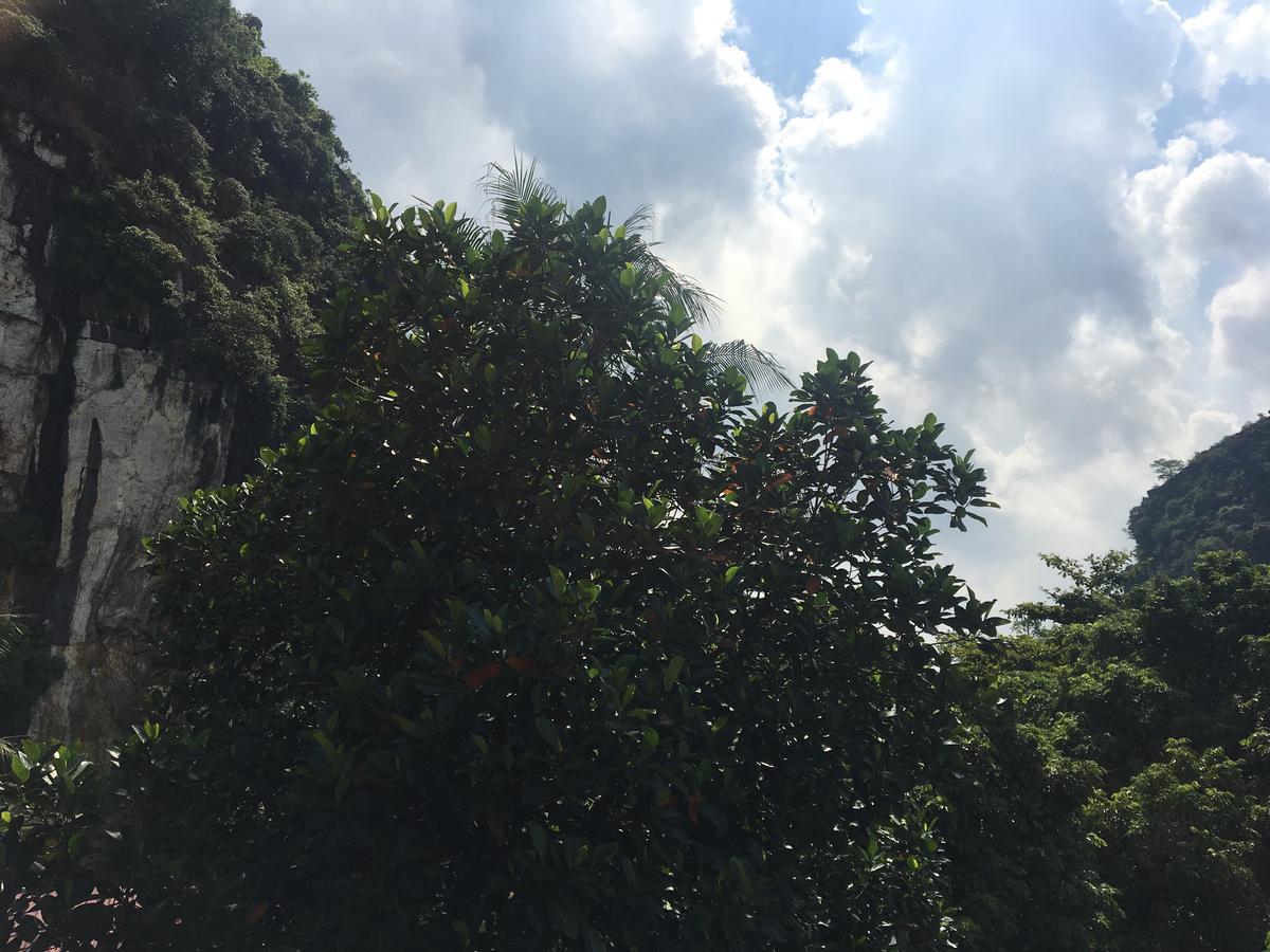 Mai'S Homestay Trang An Ninh Binh Bagian luar foto