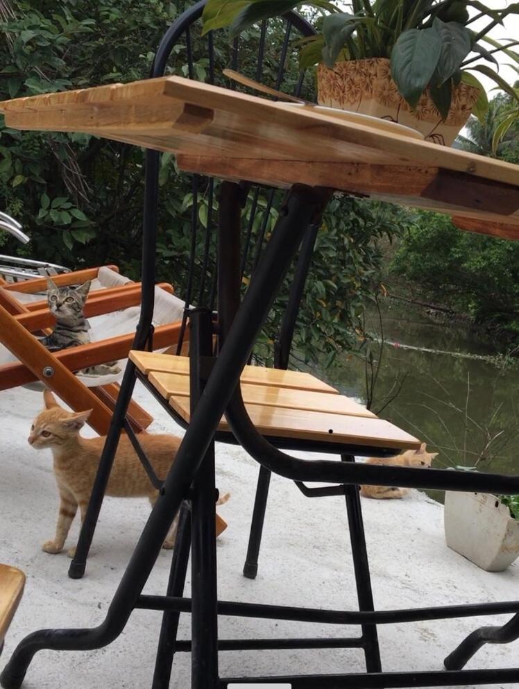 Mai'S Homestay Trang An Ninh Binh Bagian luar foto